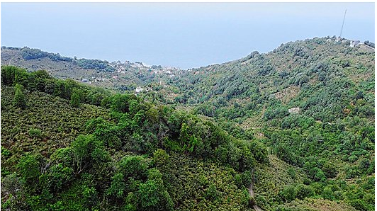 MABEL ,DEN ÇAYTEPE MH.BOSTA MEVKİSİNDE DENİZ MANZARALI ARSA